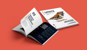 Druckvorstufe Editorial Design